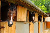 free Ballymeanoch stable construction quotes